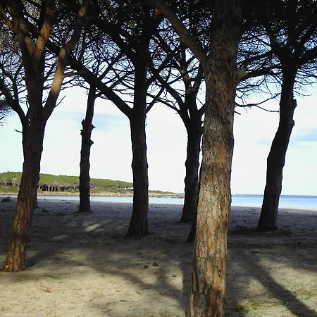 Casetta Sul Mare Διαμέρισμα Budoni