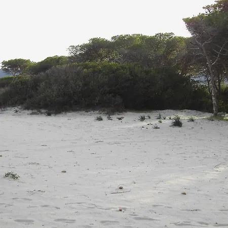 Casetta Sul Mare Διαμέρισμα Budoni