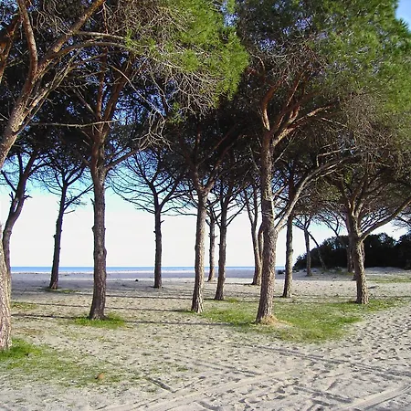 Casetta Sul Mare アパート *